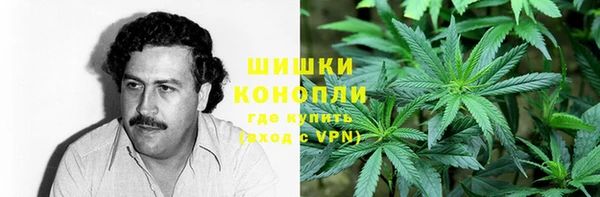 амф Абаза