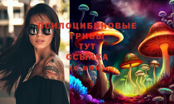 эйфоретик Россошь