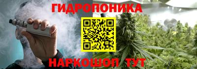 скорость Лесосибирск