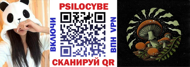 наркошоп  Кизляр  Псилоцибиновые грибы GOLDEN TEACHER 