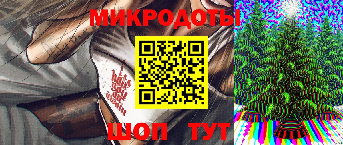 Кизляр  Псилоцибиновые грибы мухоморы  где купить наркоту  Вход с VPN 