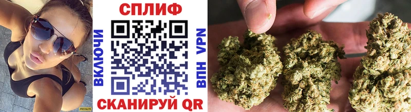 купить закладку  Кизляр  Бошки Шишки ГИДРОПОН 